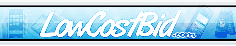 LowCostBid.com the ebay auction misspell search engine